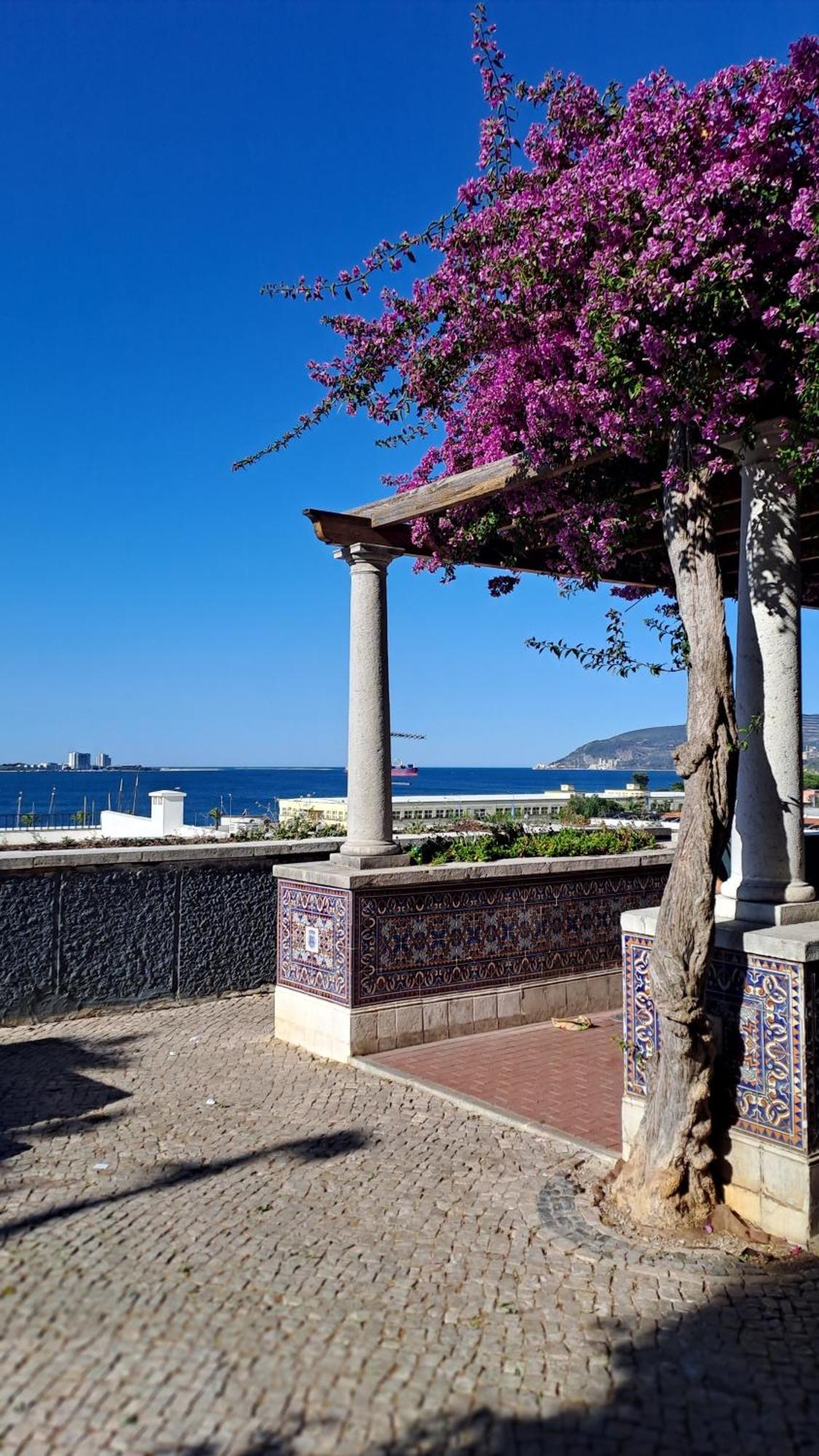 Jangada Apartamento Setubal Apartment Bagian luar foto
